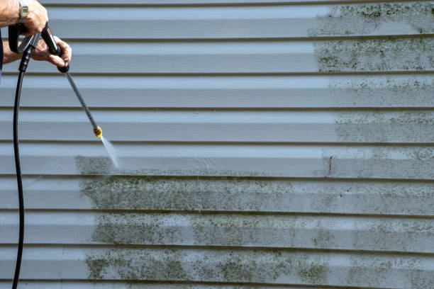 Best Same-Day Junk Removal Services  in Hesperia, CA